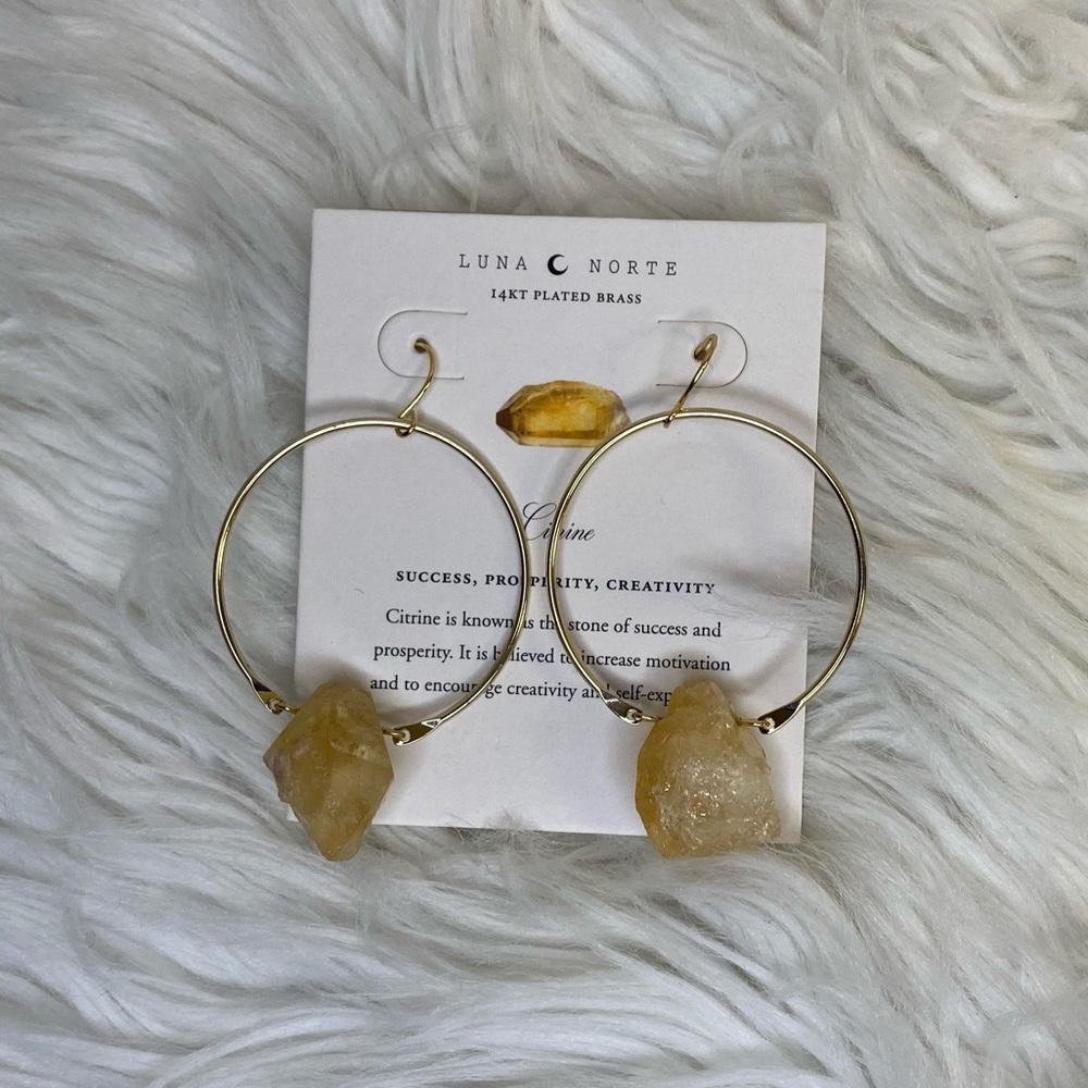 14K Gold Plated Loop Earrings